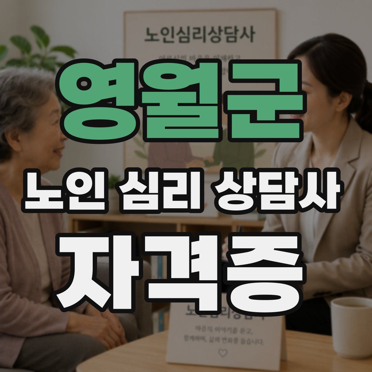 영월군 노인 심리 상담사 자격증
