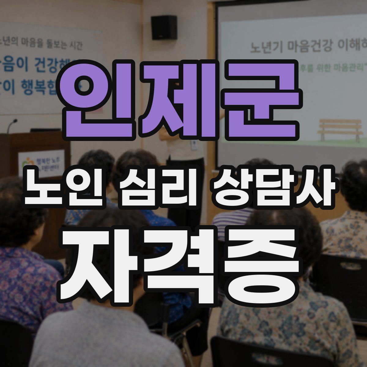 인제군 노인 심리 상담사 자격증