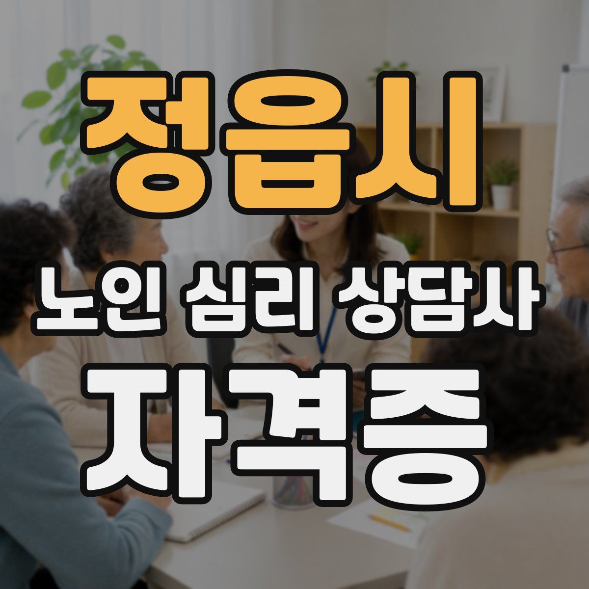 정읍시 노인 심리 상담사 자격증