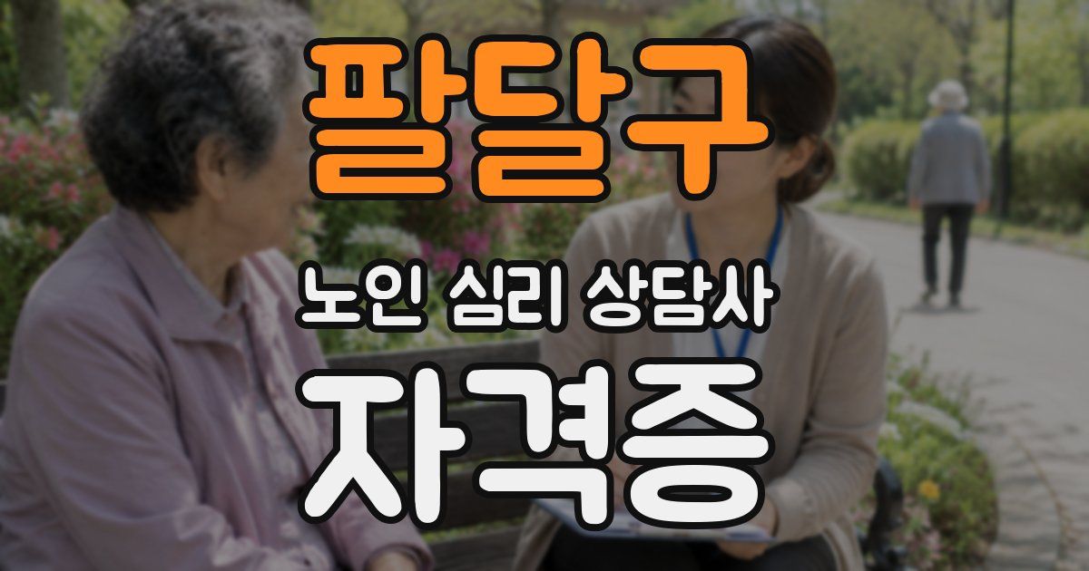 팔달구 노인 심리 상담사 자격증