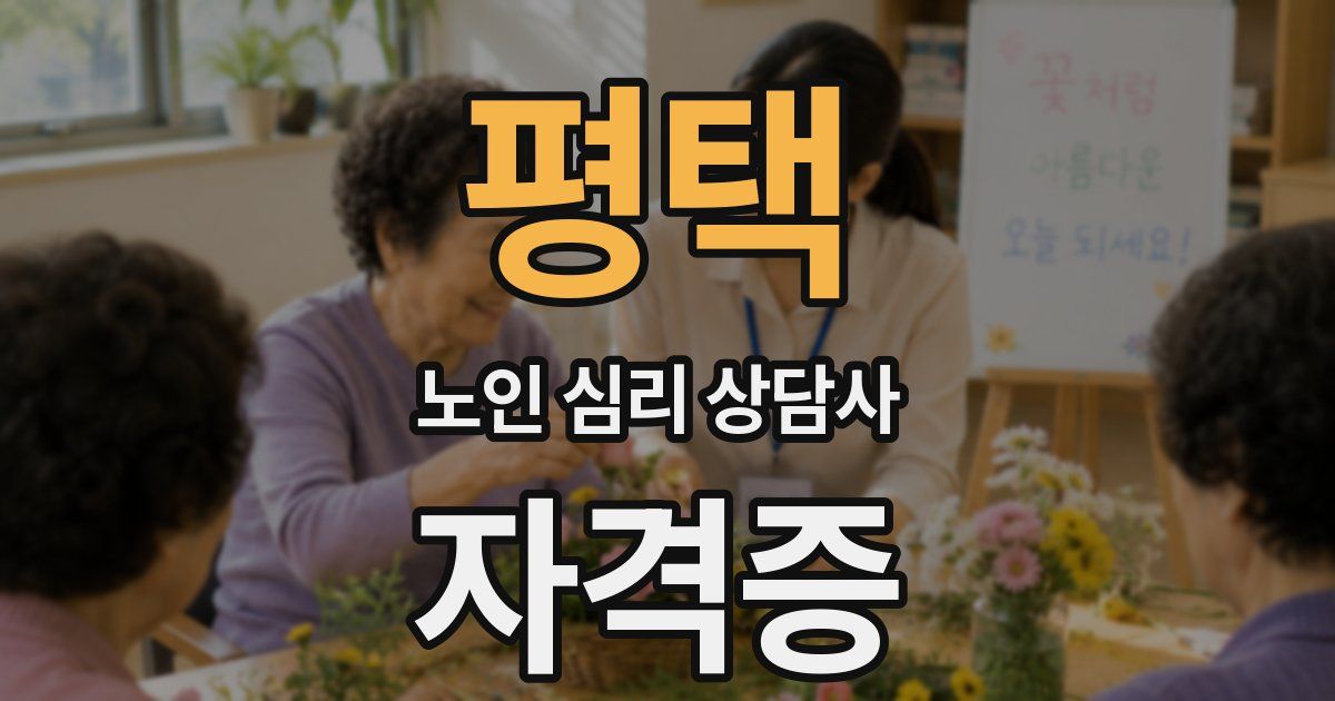 평택 노인 심리 상담사 자격증