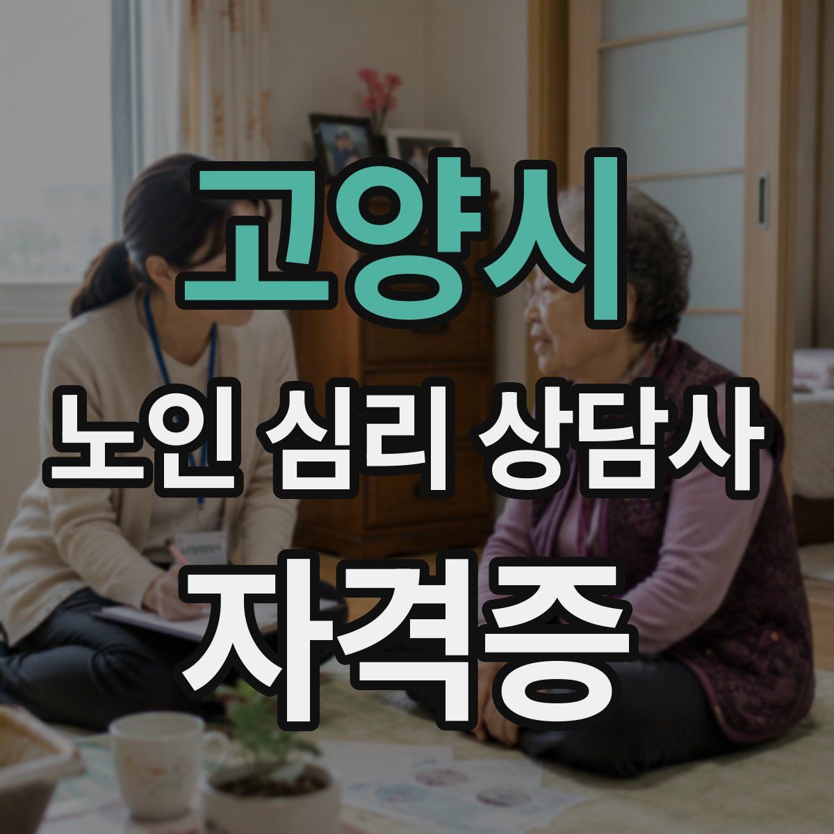 고양시 노인 심리 상담사 자격증