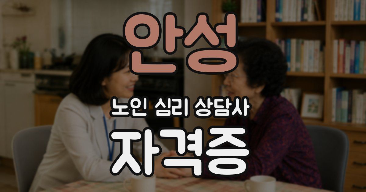 안성 노인 심리 상담사 자격증