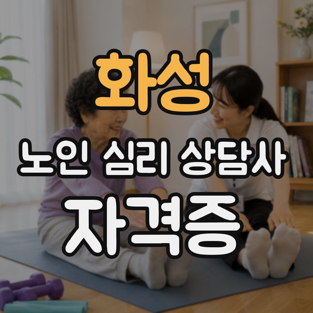 화성 노인 심리 상담사 자격증