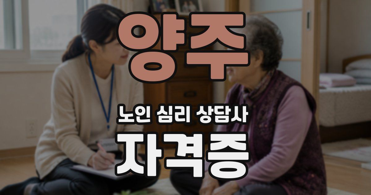 양주 노인 심리 상담사 자격증