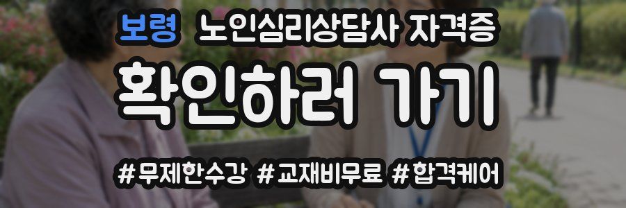 보령 노인 심리 상담사 자격증