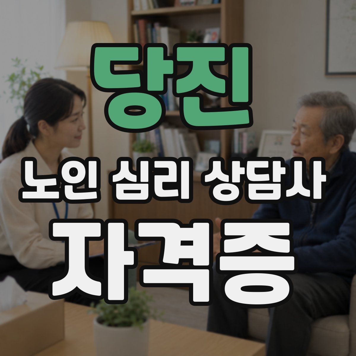 당진 노인 심리 상담사 자격증