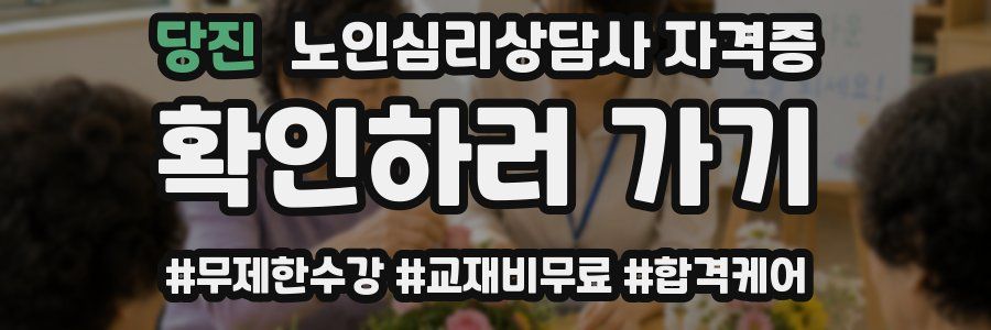 당진 노인 심리 상담사 자격증
