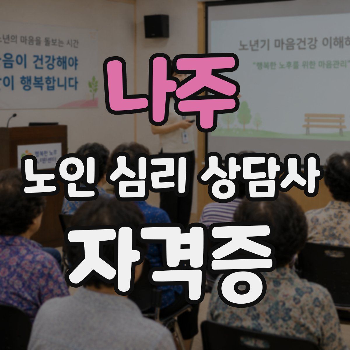 나주 노인 심리 상담사 자격증