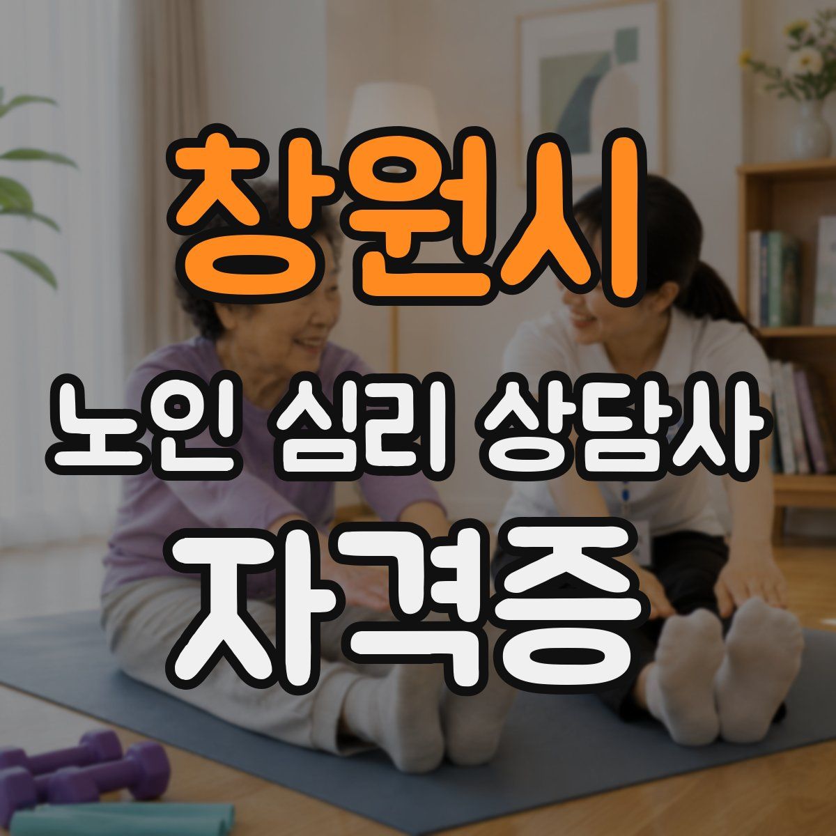 창원시 노인 심리 상담사 자격증