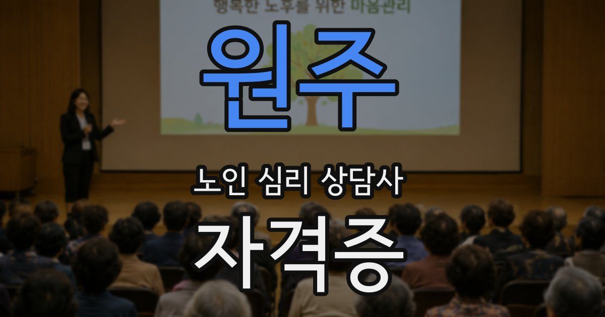 원주 노인 심리 상담사 자격증