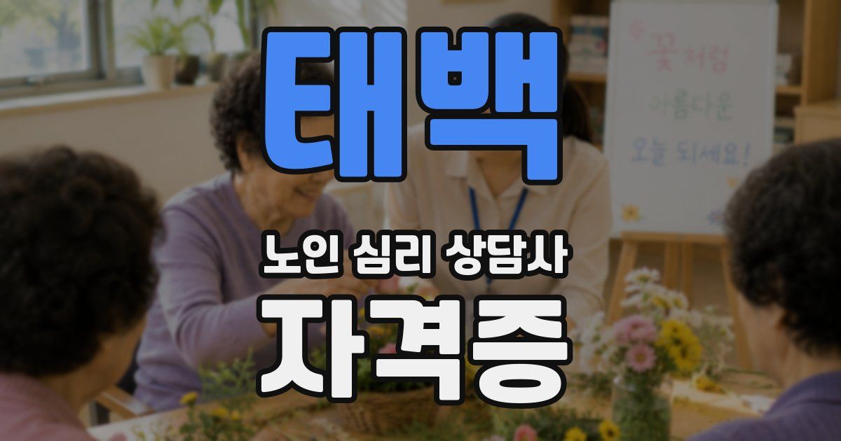 태백 노인 심리 상담사 자격증