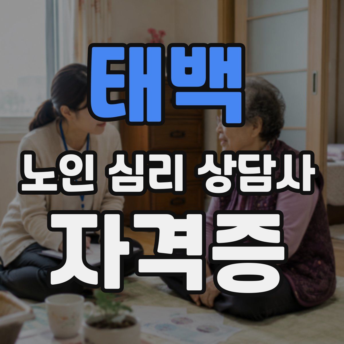 태백 노인 심리 상담사 자격증