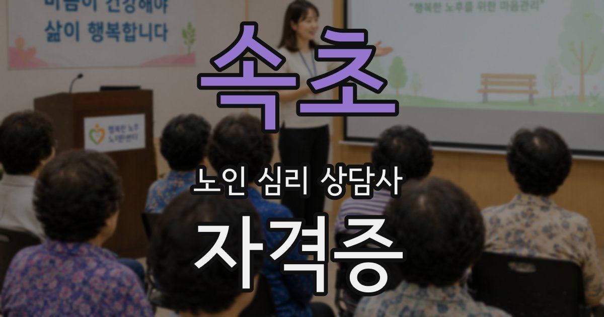 속초 노인 심리 상담사 자격증