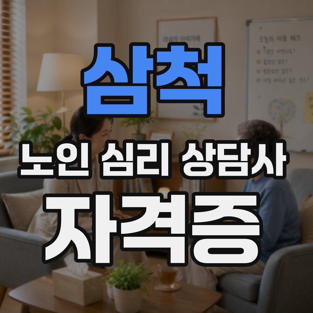 삼척 노인 심리 상담사 자격증