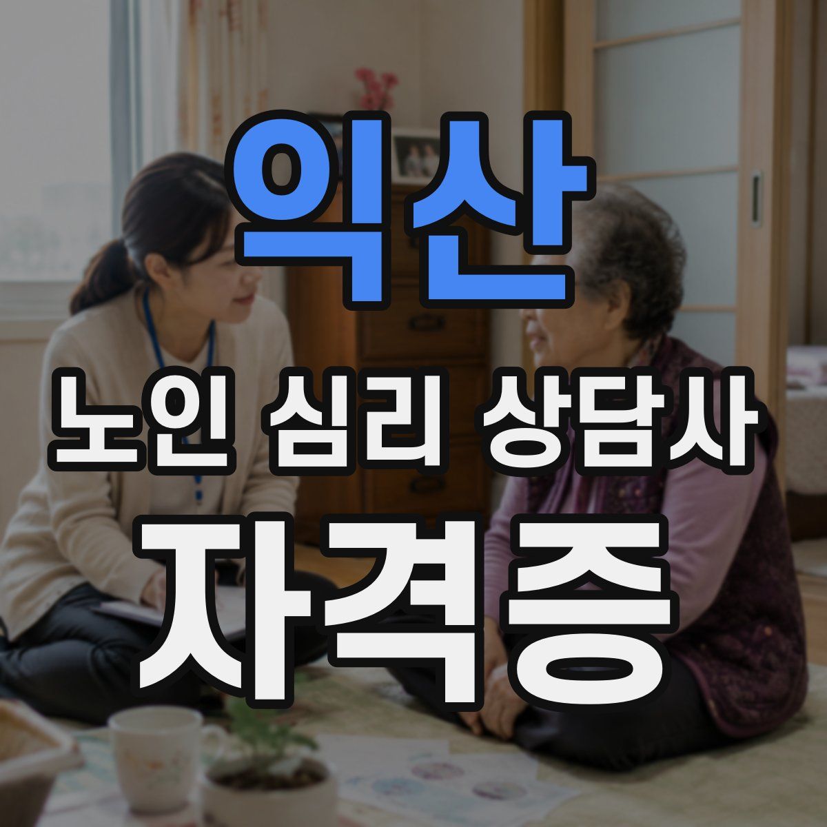 익산 노인 심리 상담사 자격증