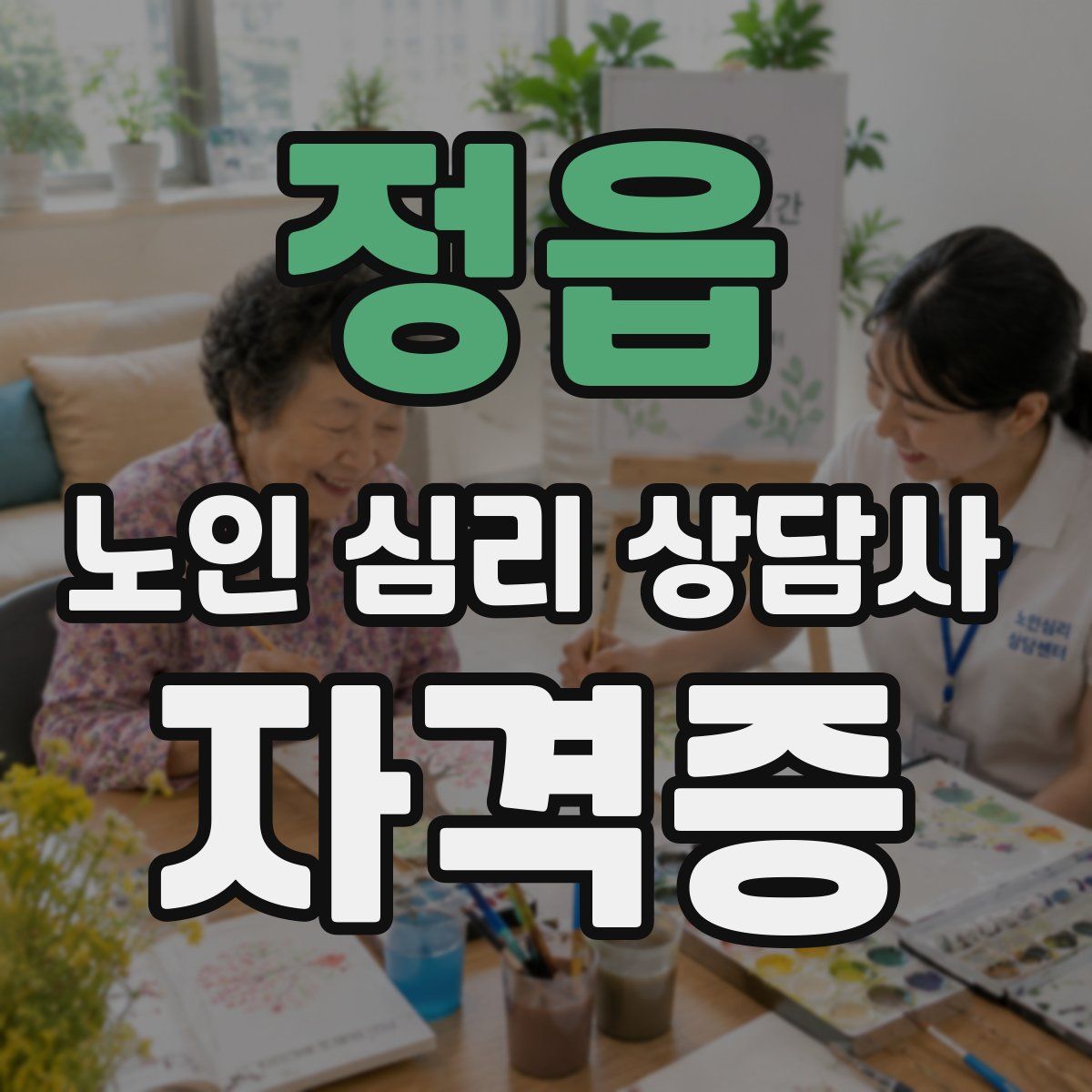 정읍 노인 심리 상담사 자격증