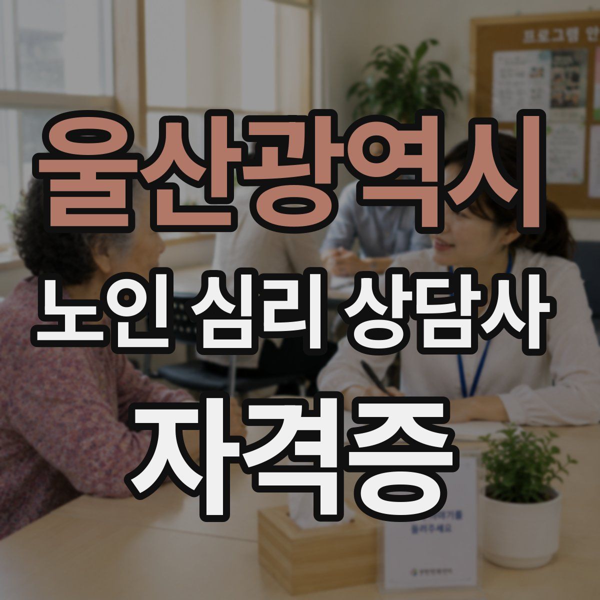 울산광역시 노인 심리 상담사 자격증
