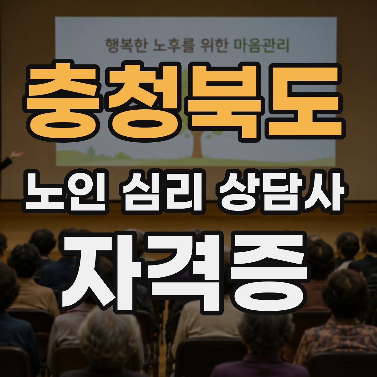 충청북도 노인 심리 상담사 자격증