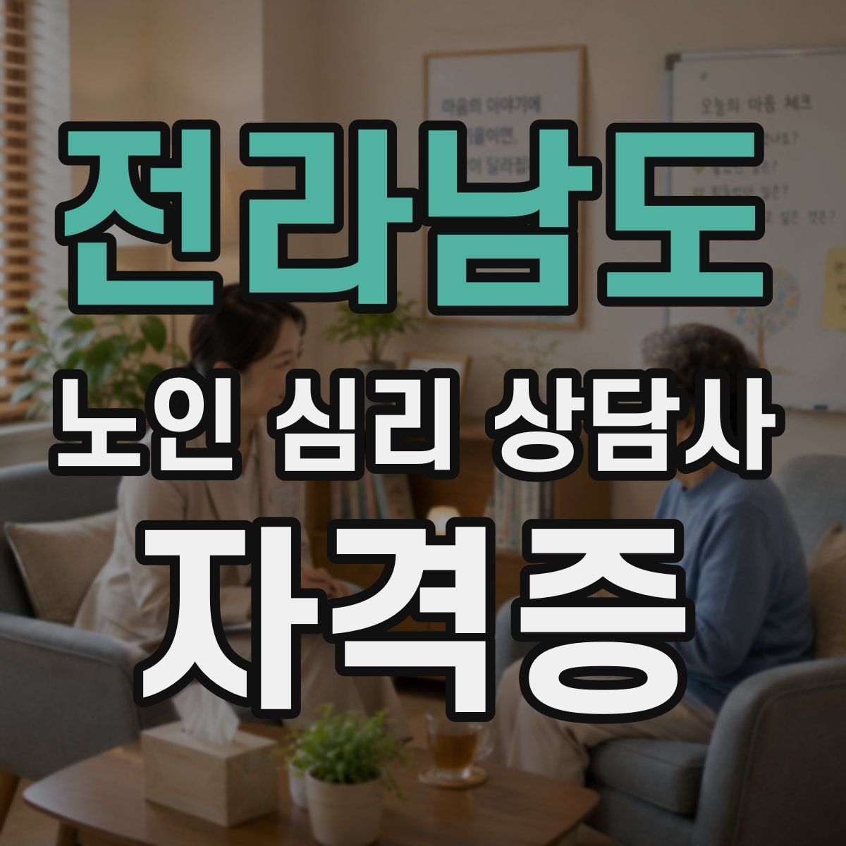 전라남도 노인 심리 상담사 자격증