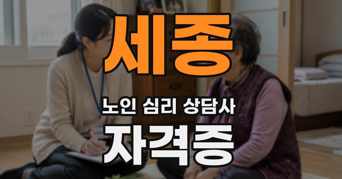 세종 노인 심리 상담사 자격증