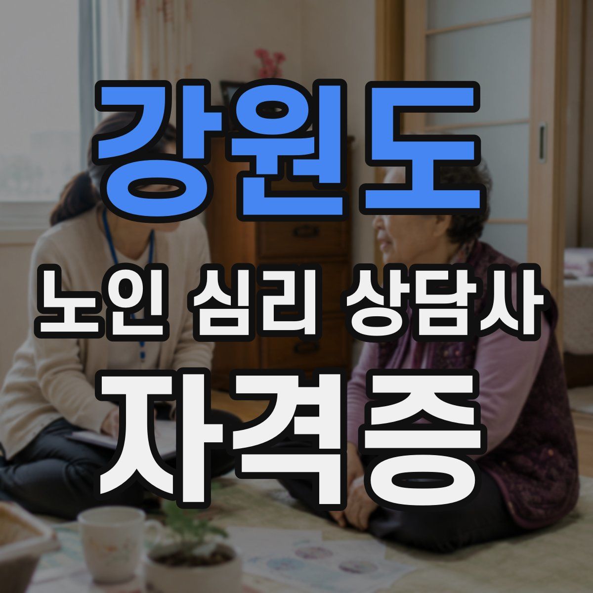 강원도 노인 심리 상담사 자격증