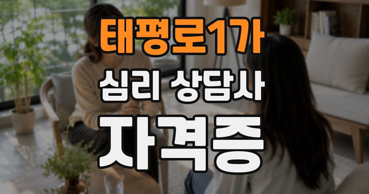 태평로1가 심리 상담사 자격증