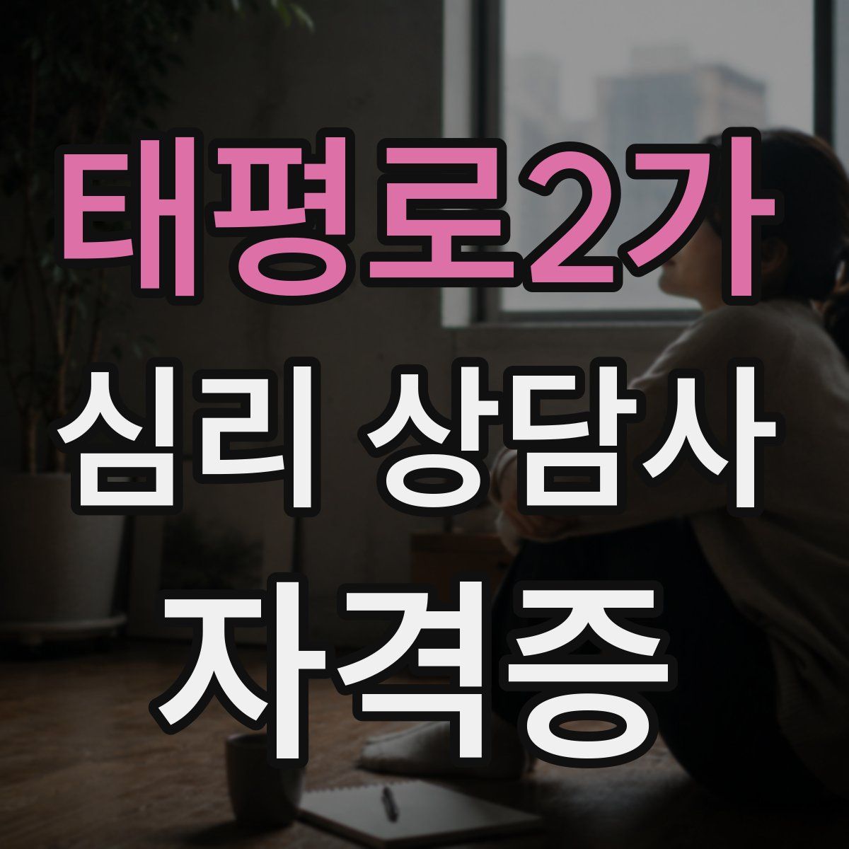 태평로2가 심리 상담사 자격증