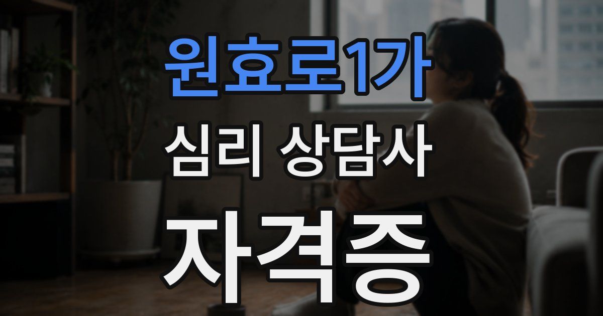 원효로1가 심리 상담사 자격증
