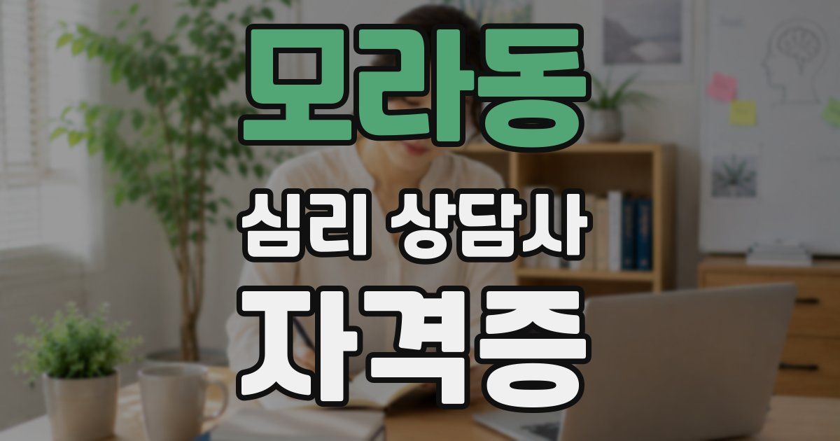 모라동 심리 상담사 자격증