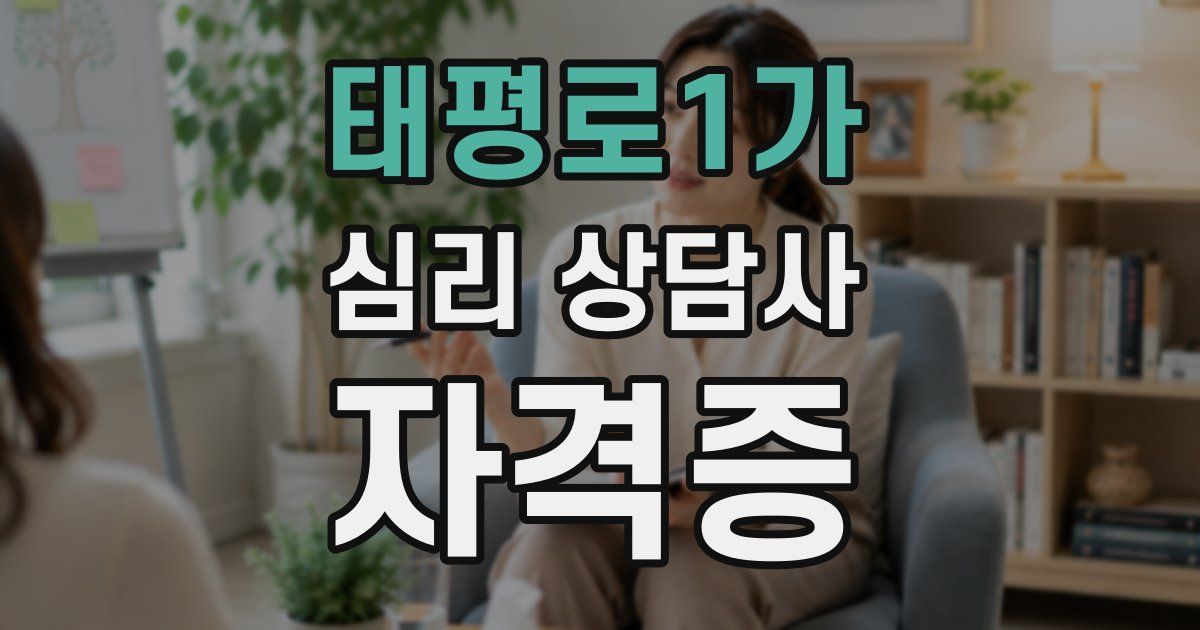태평로1가 심리 상담사 자격증