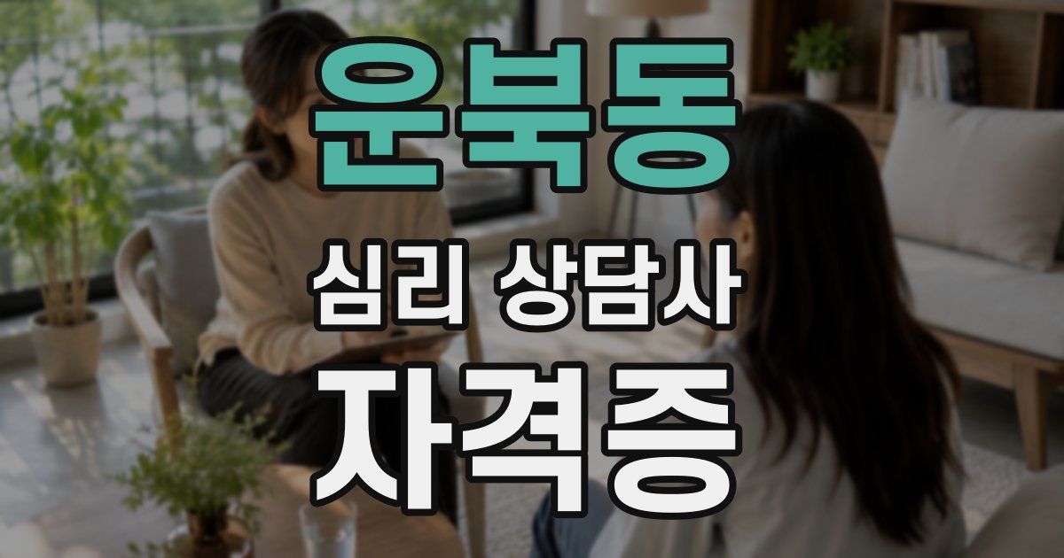 운북동 심리 상담사 자격증