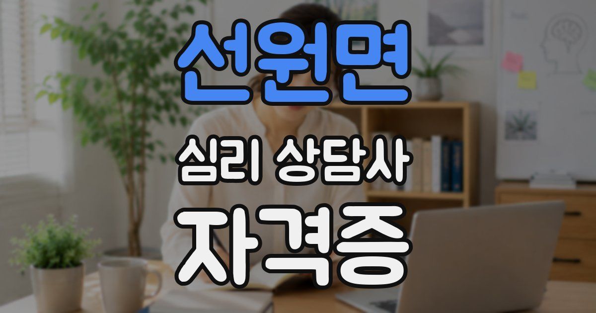 선원면 심리 상담사 자격증