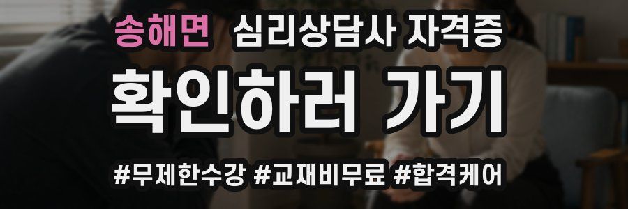 송해면 심리 상담사 자격증
