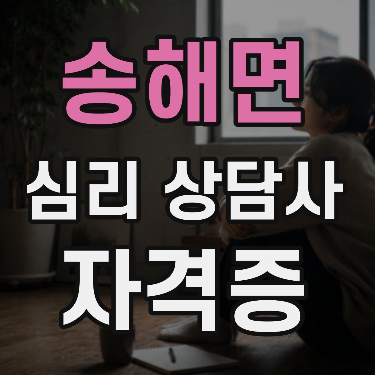 송해면 심리 상담사 자격증