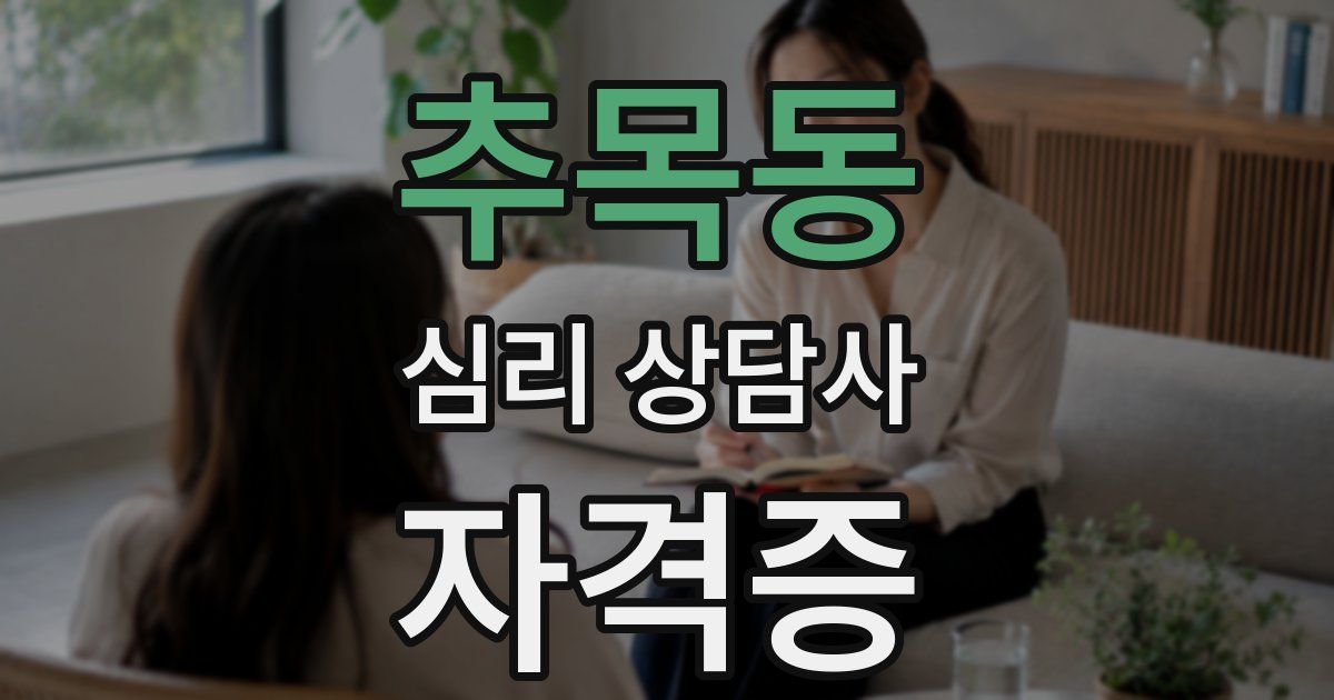 추목동 심리 상담사 자격증