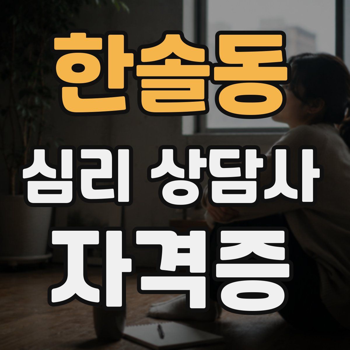 한솔동 심리 상담사 자격증