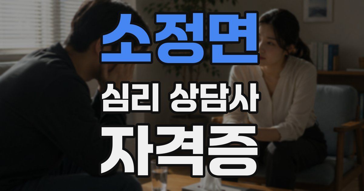 소정면 심리 상담사 자격증
