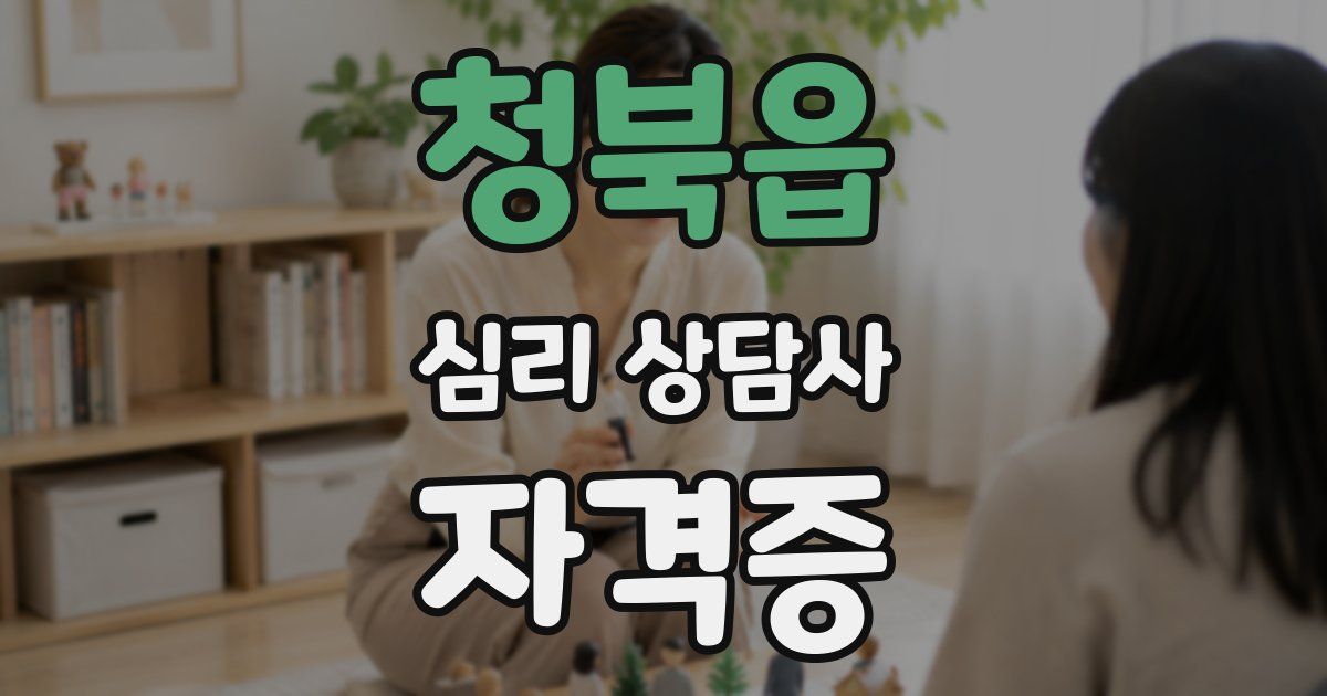 청북읍 심리 상담사 자격증