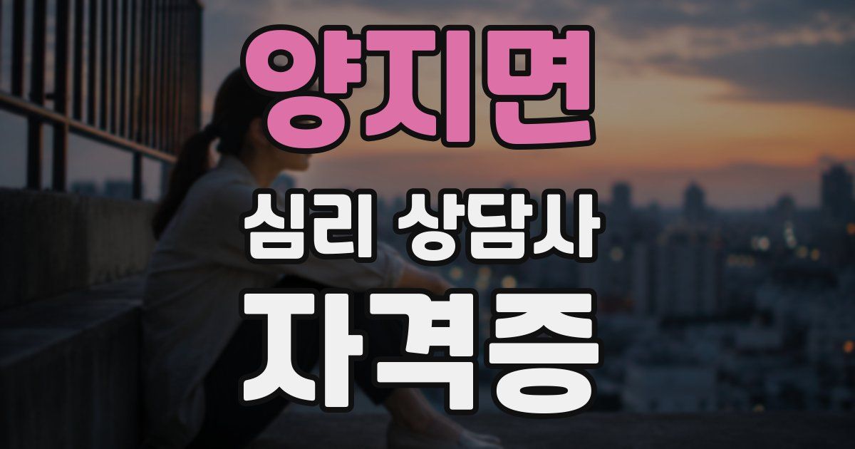양지면 심리 상담사 자격증