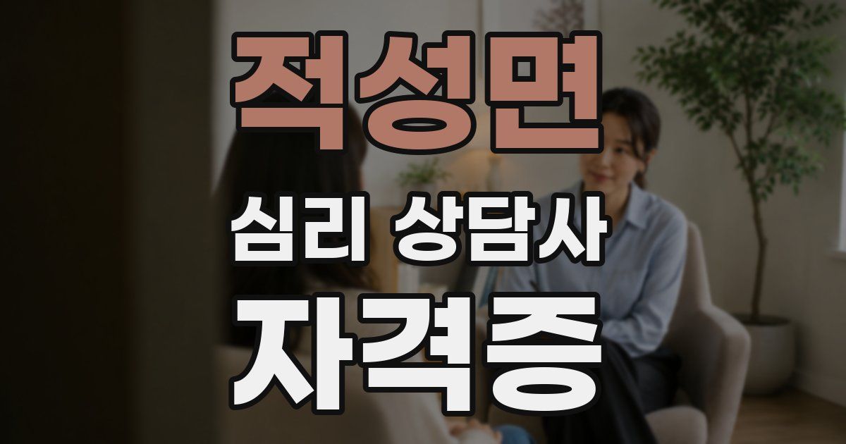 적성면 심리 상담사 자격증