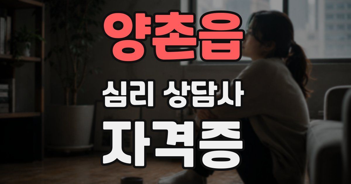 양촌읍 심리 상담사 자격증