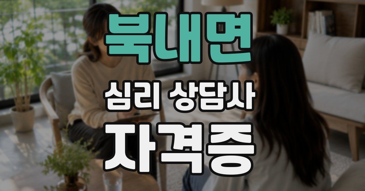 북내면 심리 상담사 자격증