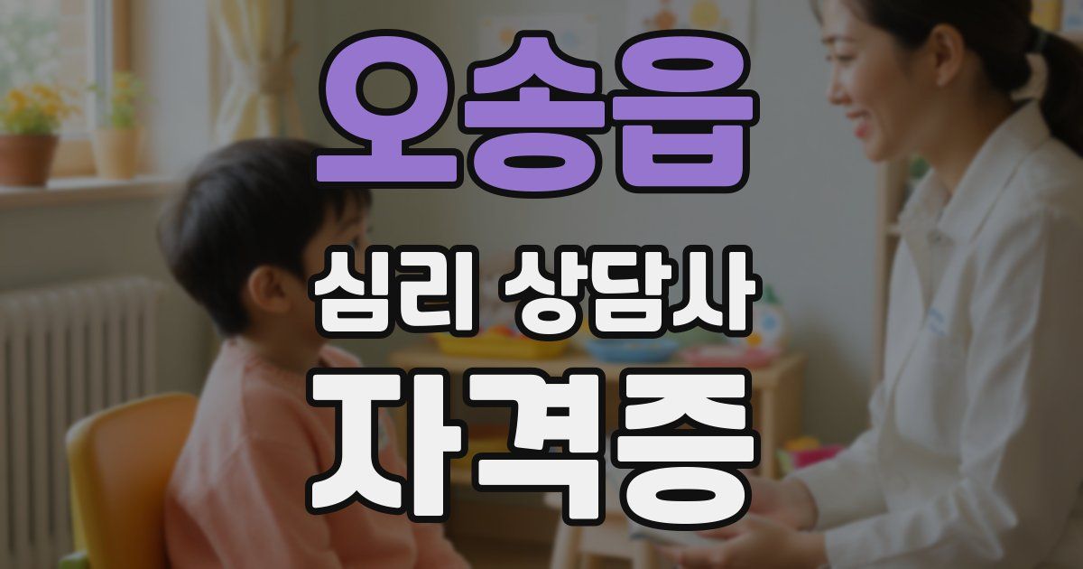 오송읍 심리 상담사 자격증