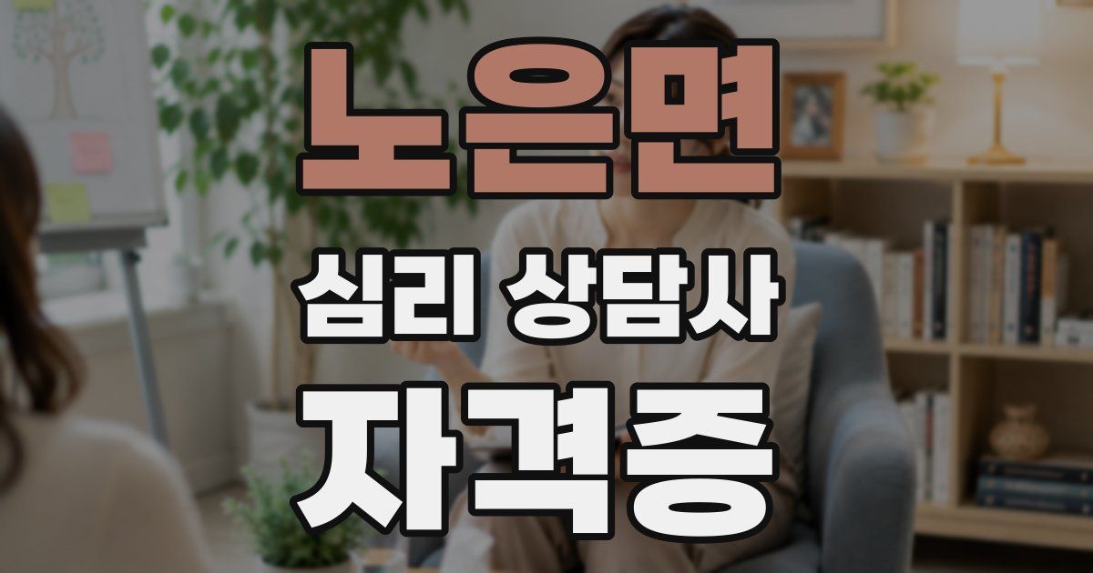 노은면 심리 상담사 자격증