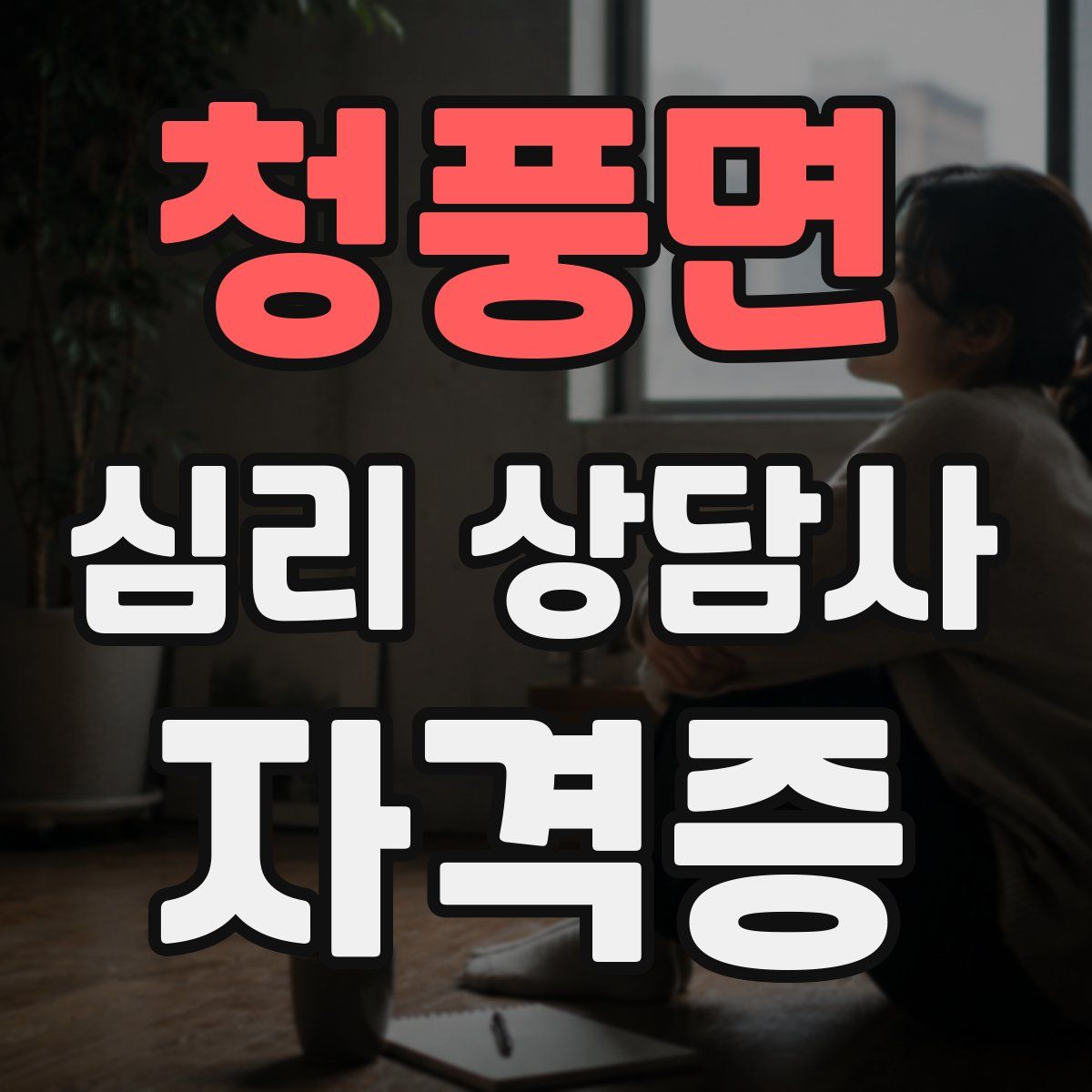 청풍면 심리 상담사 자격증