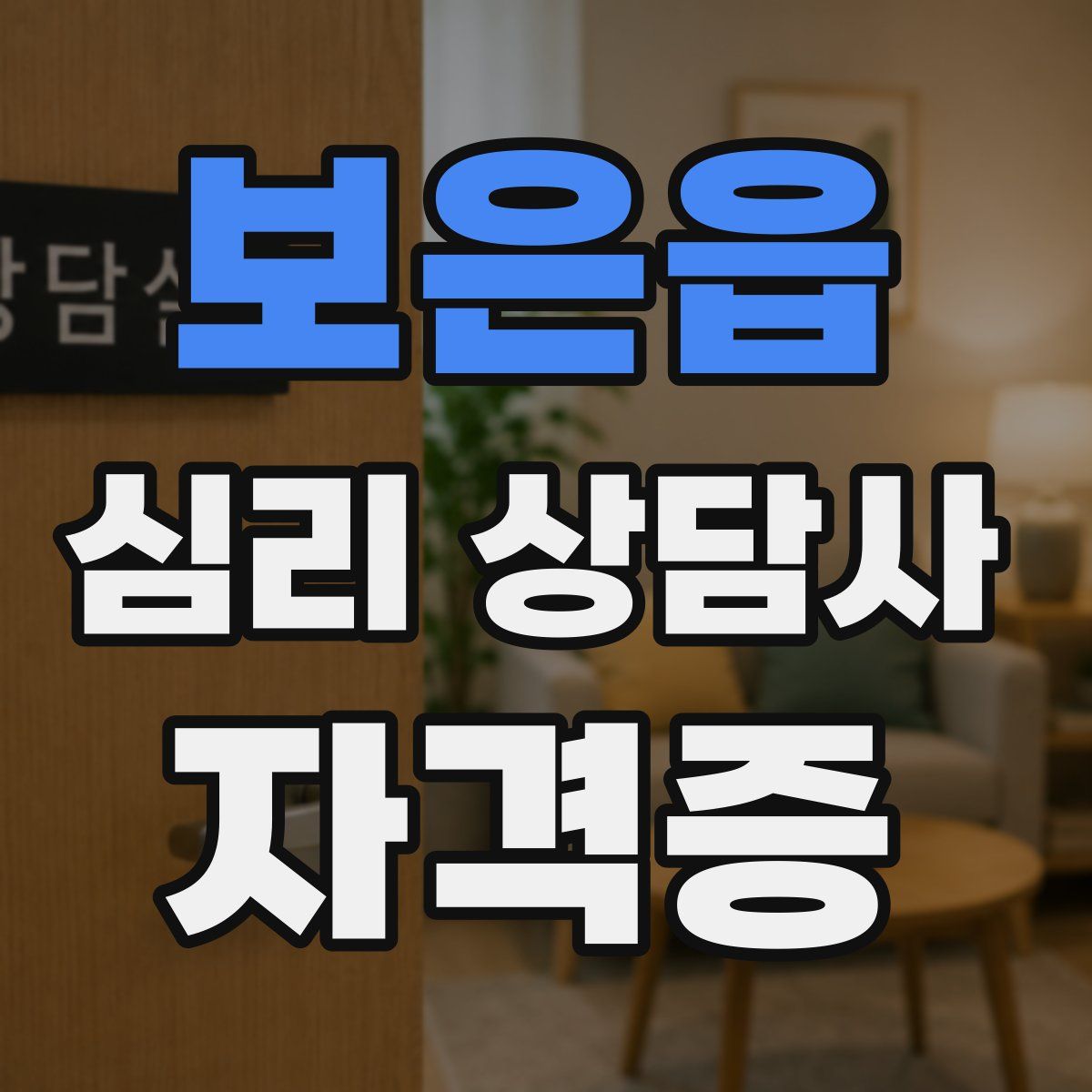보은읍 심리 상담사 자격증