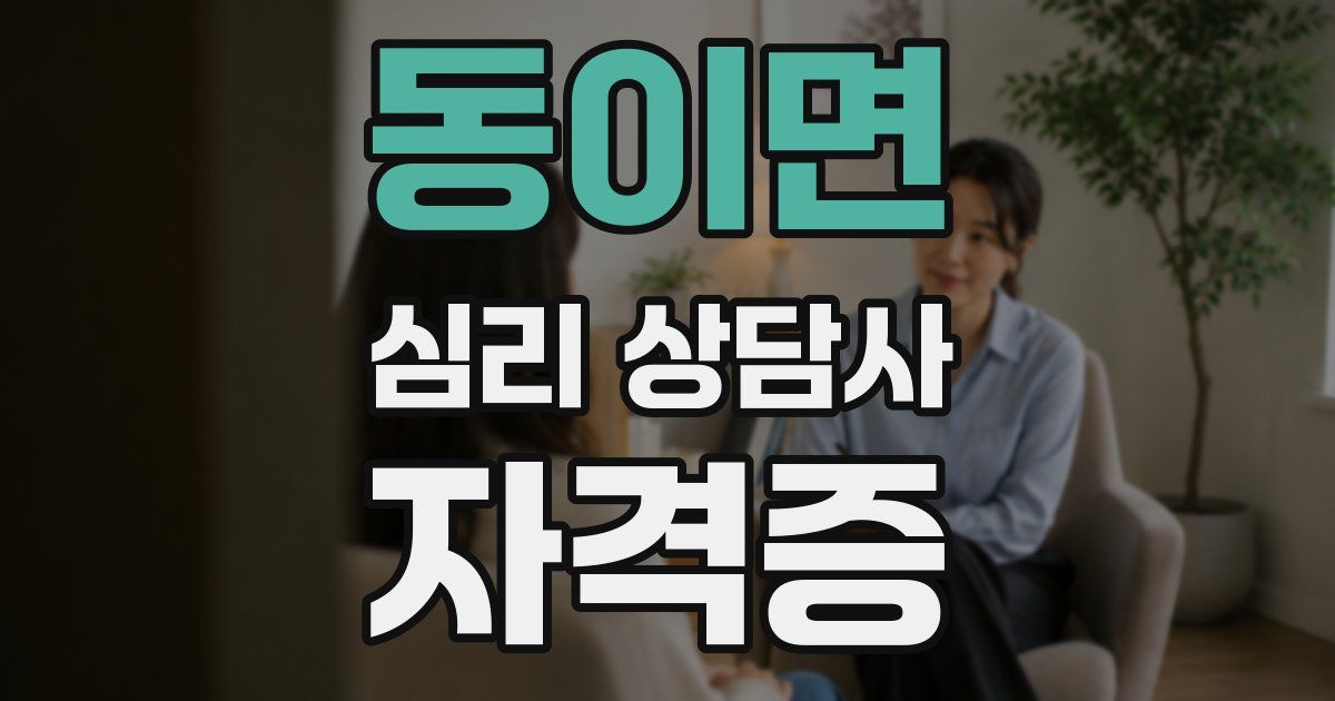동이면 심리 상담사 자격증