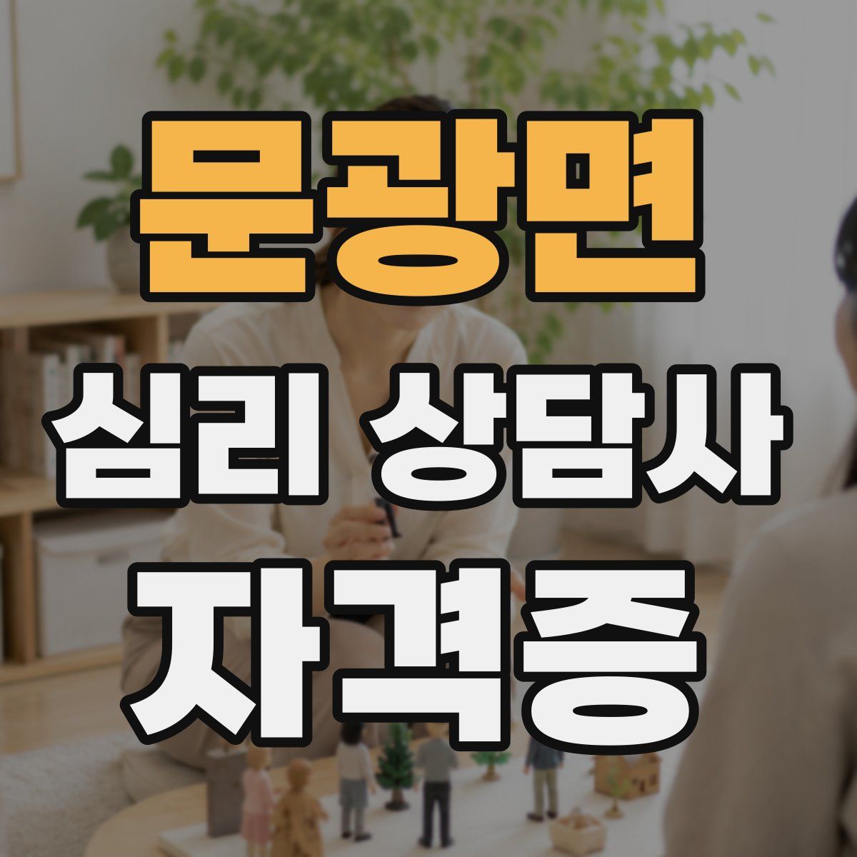 문광면 심리 상담사 자격증