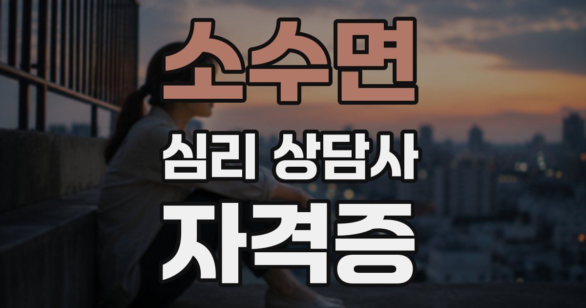 소수면 심리 상담사 자격증